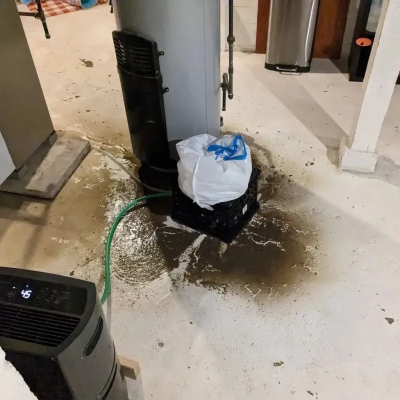 Sewage Backup Cleanup Service in Tulare County, CA